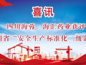 海蓉、海匯藥業(yè)獲評“安全生產(chǎn)標準化二級企業(yè)”
